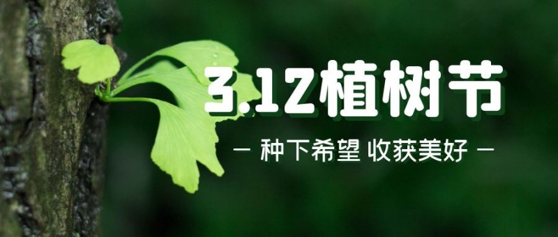 科瑪森--樹聚成林，人聚成事